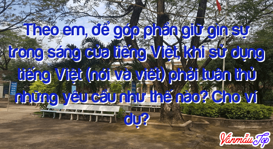 Theo em, để góp phần giữ gìn sự trong sáng của tiếng Việt, khi sử dụng tiếng Việt (nói và viết) phải tuân thủ những yêu cầu như thế nào? Cho ví dụ?